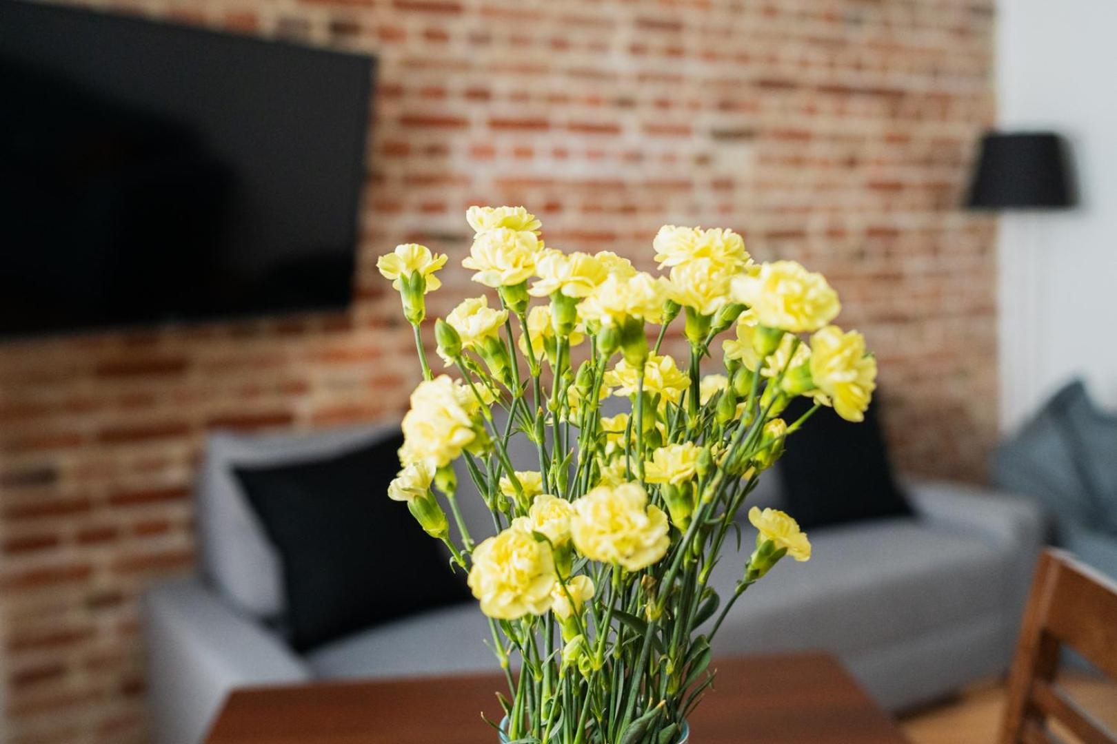 Big Apart - Nice Design - 3 Rooms - Wroclaw City Centre Eksteriør bilde